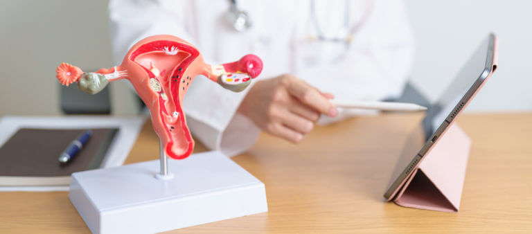 A doctor with a uterus and ovaries anatomy model and a tablet on her desk explains endometrial polyp removal to her patient.